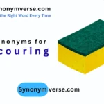 synonym for scouring