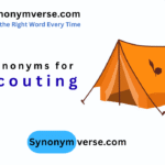 synonym for scouting