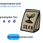 synonym for seed