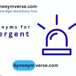 Synonyms for Emergent