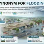 Synonym for Flooding