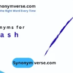 Synonym for Slash