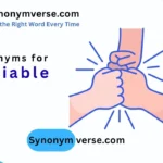 Synonym for Sociable