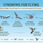 Synonyms for Flying