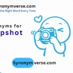 Synonyms for Snapshot