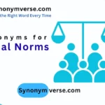 Synonyms for Social Norms